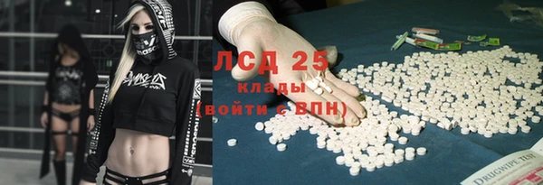 тгк Дмитриев