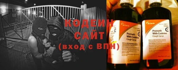 прущие грибы Бугульма