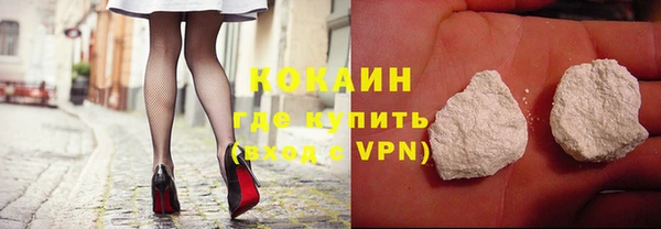 прущие грибы Бугульма