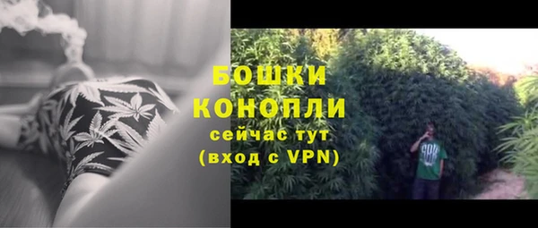 дживик Богородск