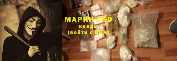 стафф Бронницы
