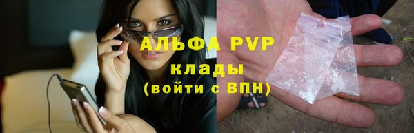 стафф Бронницы