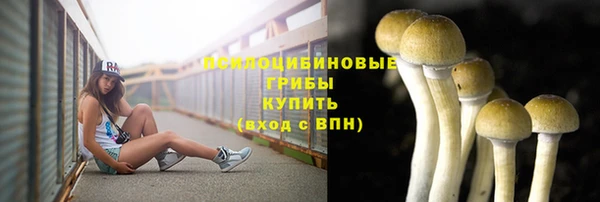 COCAINE Бородино