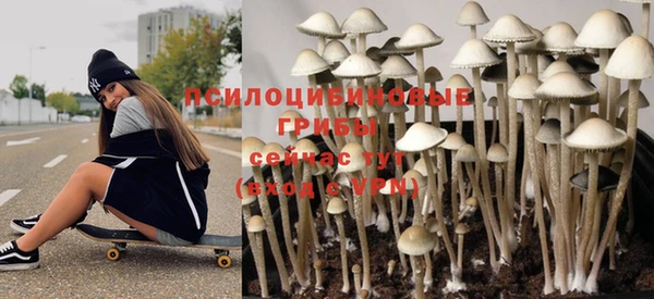 COCAINE Бородино