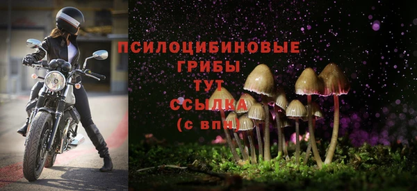 COCAINE Бородино