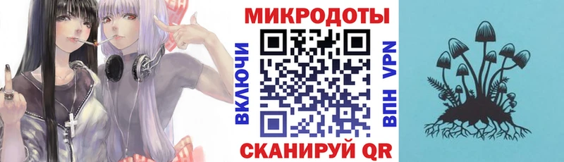 Галлюциногенные грибы прущие грибы  Мещовск 